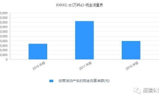万科集团财务数据分析，万科集团财务数据分析报告